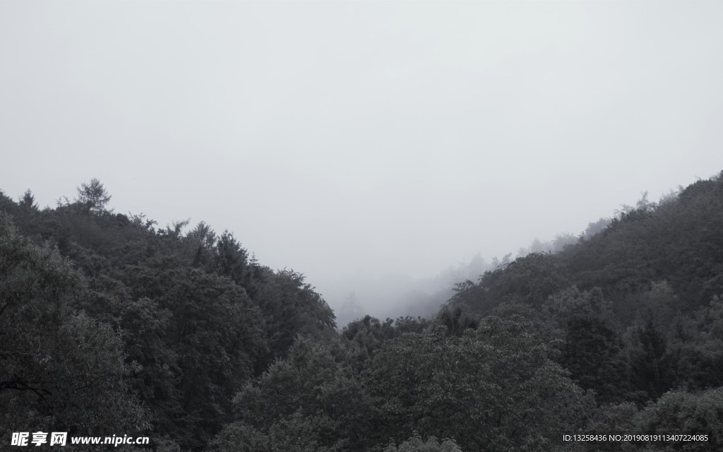 群山云雾森林风景