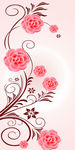 花朵花纹玄关