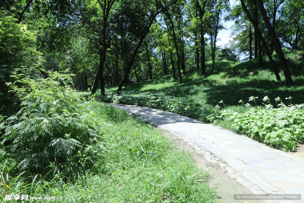 圆明园风景