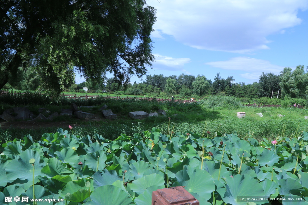 圆明园风景
