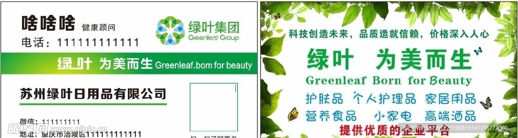 绿叶 名片