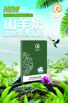 臻羊 传奇 海报