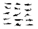 15款鱼类矢量图形