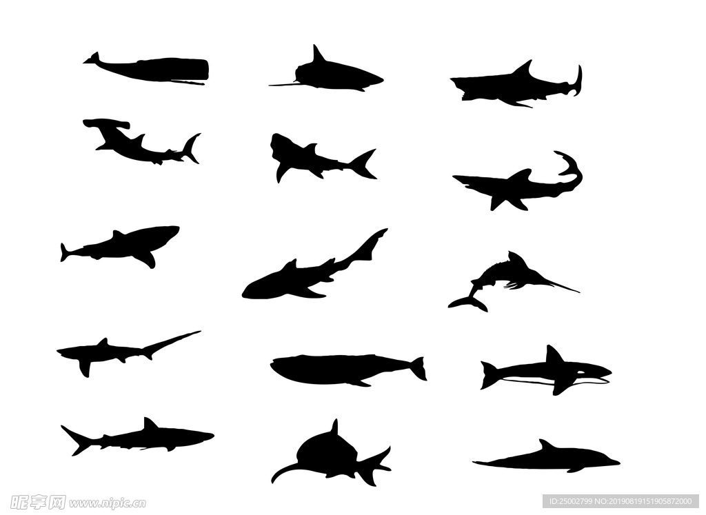 15款鱼类矢量图形