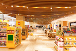 大型商场玩具场景展示