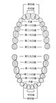 爱护牙齿