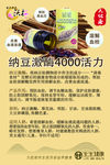 纳豆激酶
