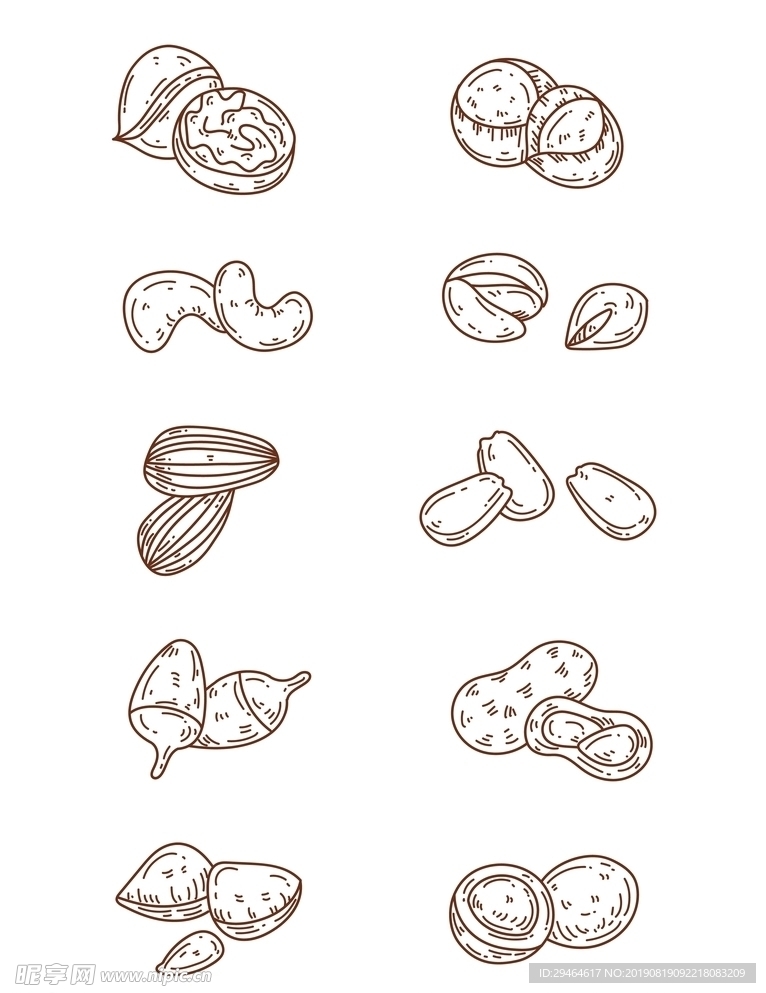 手绘瓜子坚果种类