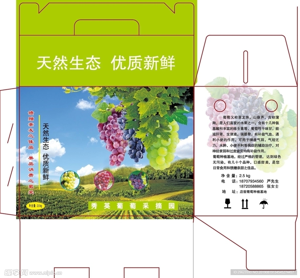葡萄箱  葡萄外箱  展开图