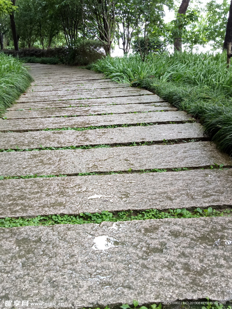 雨后的石板路