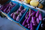 市场紫色茄子
