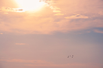 云 夕阳 夕阳西下