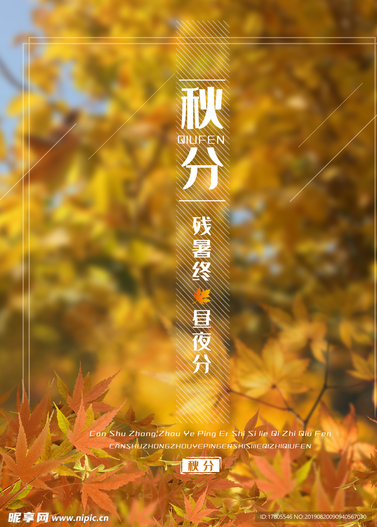 秋分海报 秋分素材 秋分节气