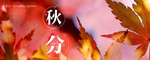 秋分海报 秋分素材 秋分节气