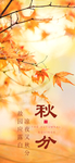 秋分海报 秋分素材 秋分节气