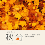 秋分海报 秋分素材 秋分节气
