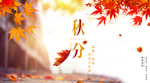 秋分海报 秋分素材 秋分节气