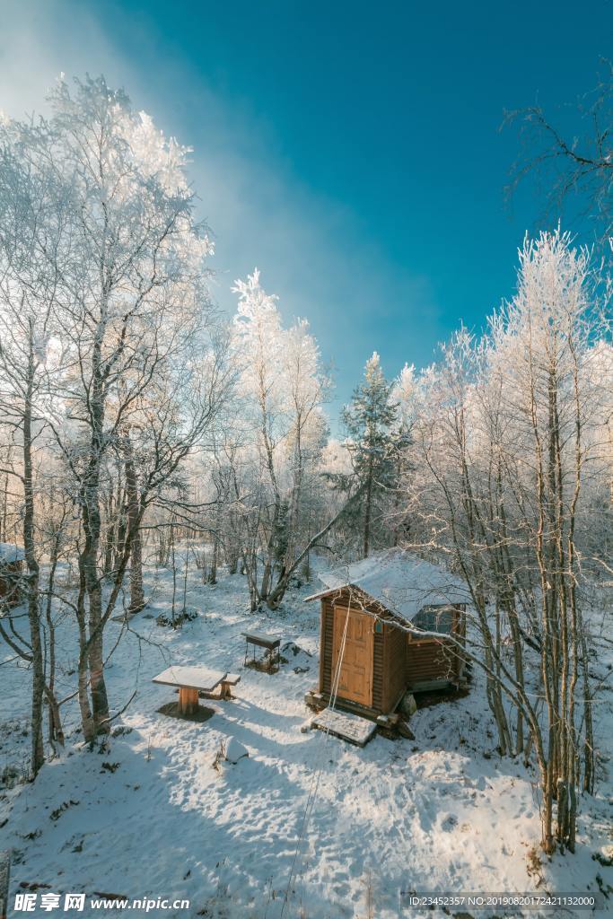 雪地