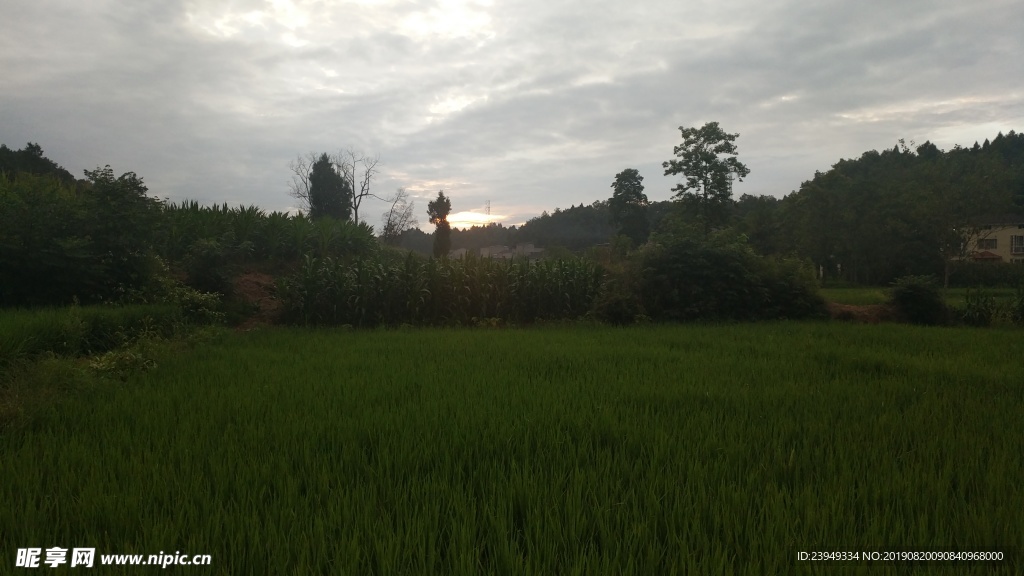 日出