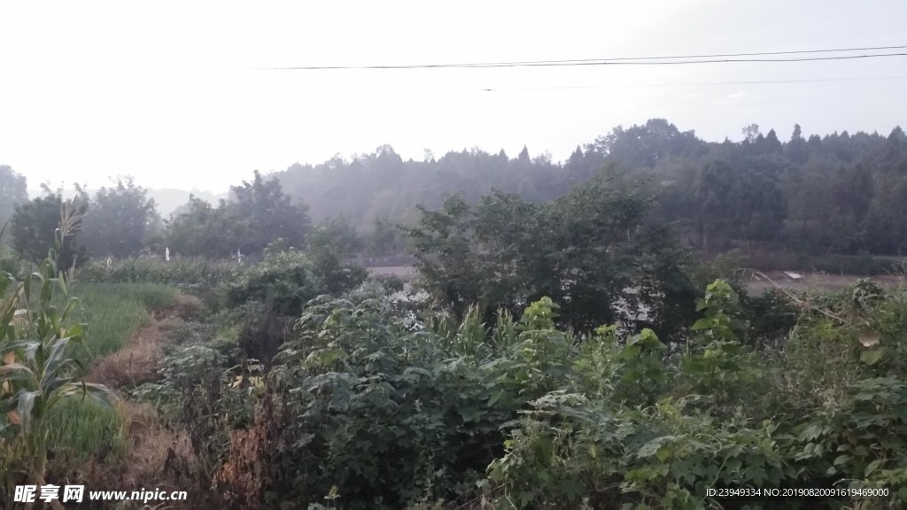 乡村