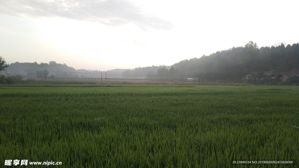 早晨