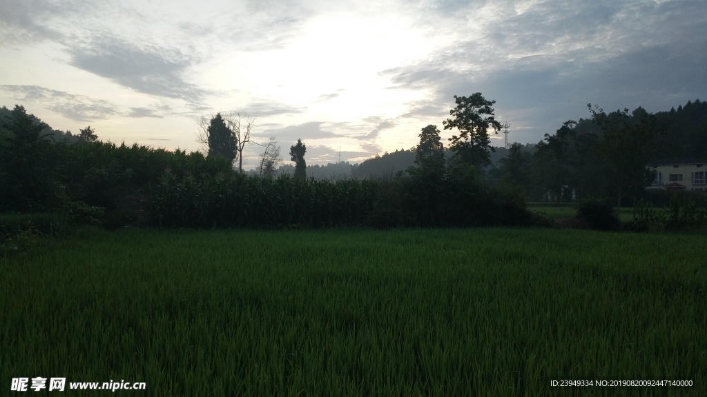 早晨