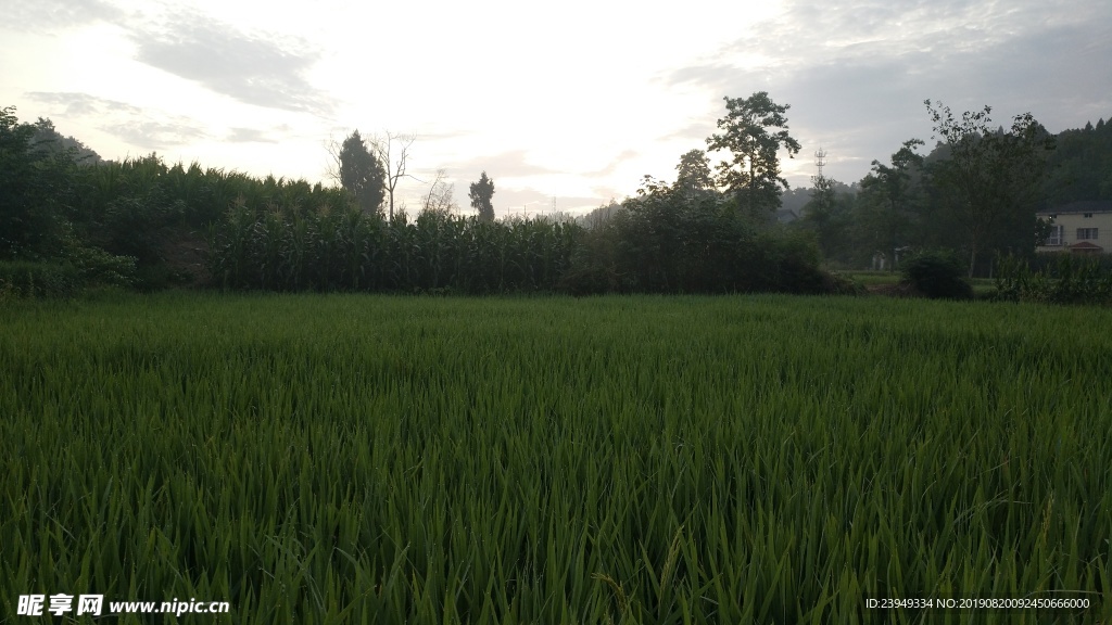 早晨