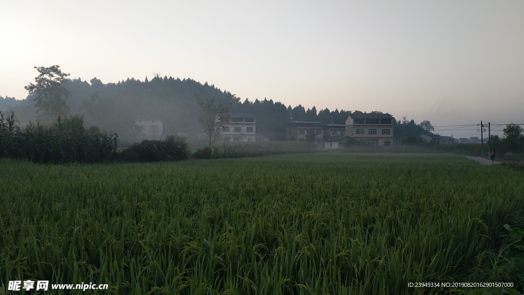 农村