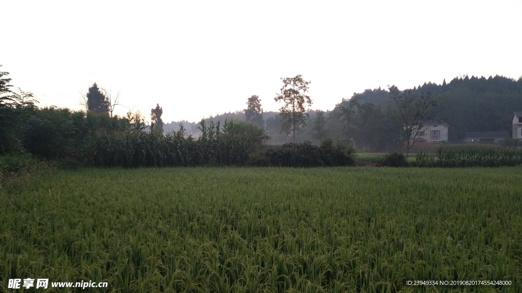 早晨