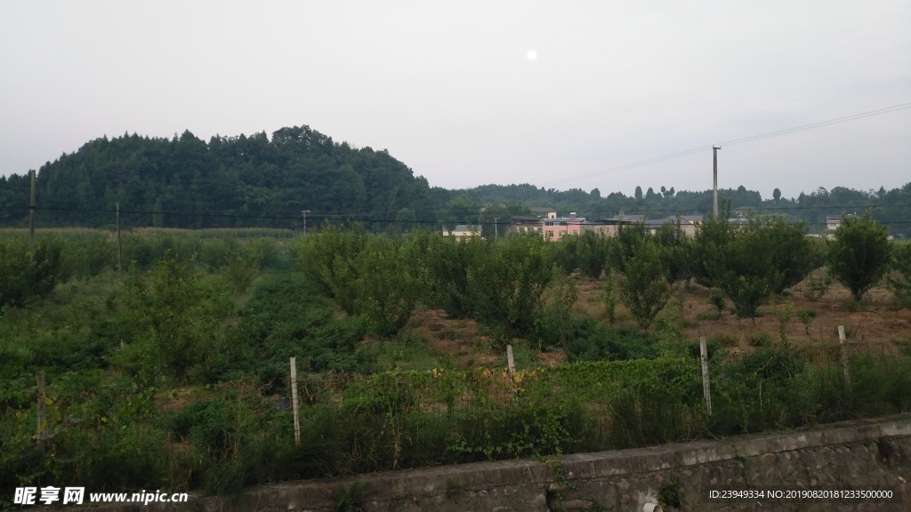 果园
