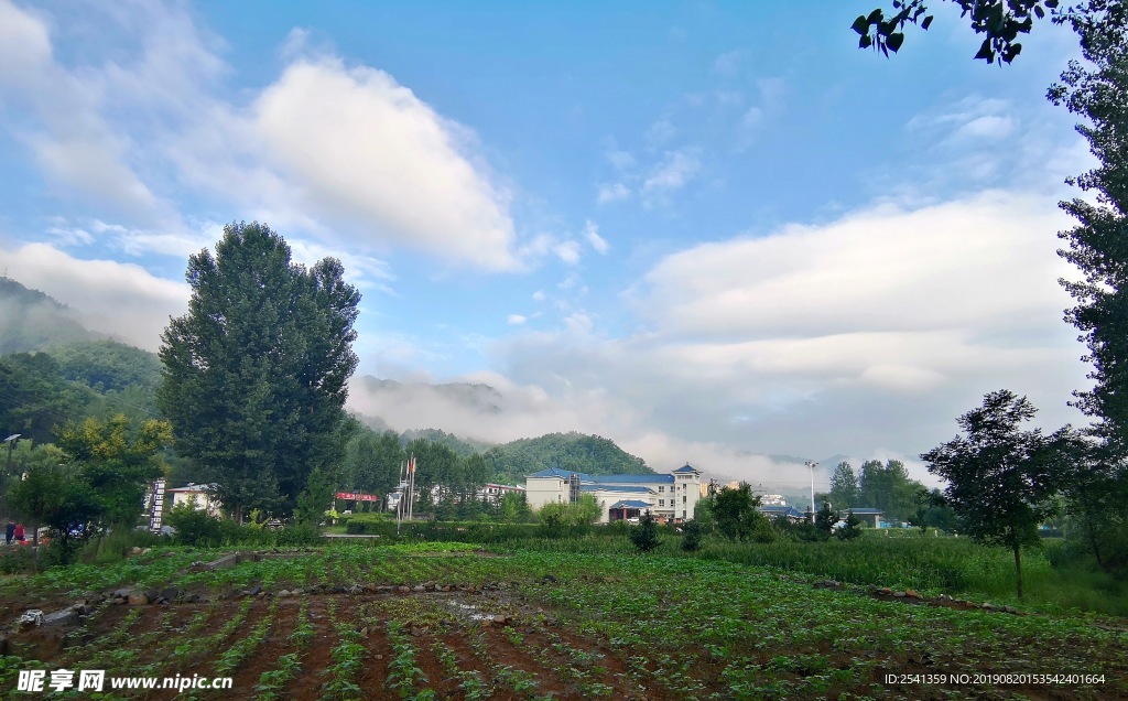 田野