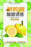 柠檬