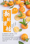 蜜桔