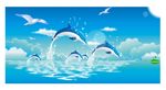 海鸥海豚矢量图