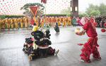 狮子 龙 节日 舞龙灯 喜庆
