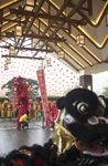龙 元宵 舞龙灯