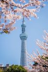 东京