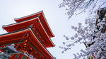 东京