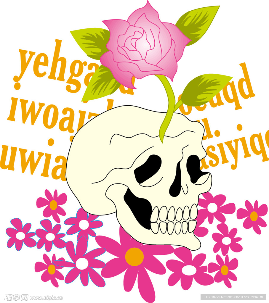 骷髅