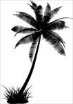 花草椰子树剪影