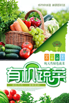 绿色蔬菜食品海报