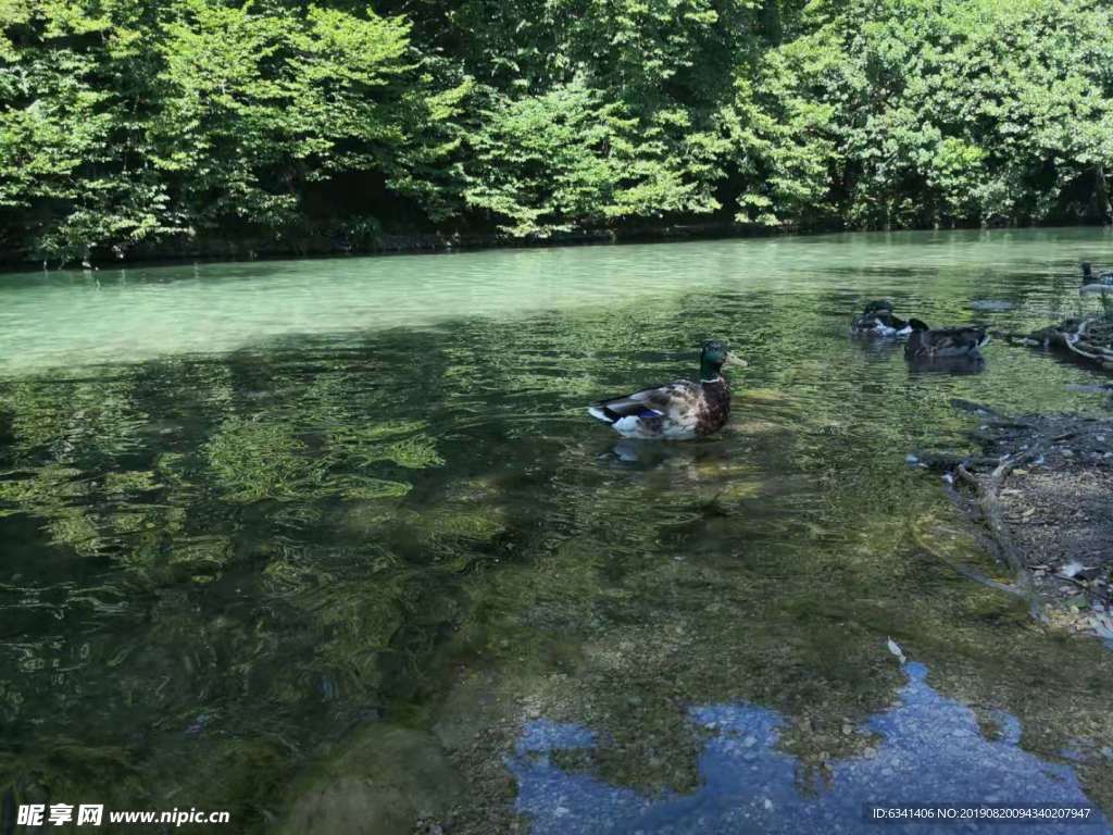 克罗地亚风景 十六湖