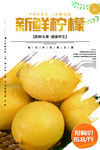 柠檬