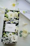 鲜花