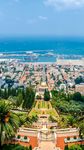 城市