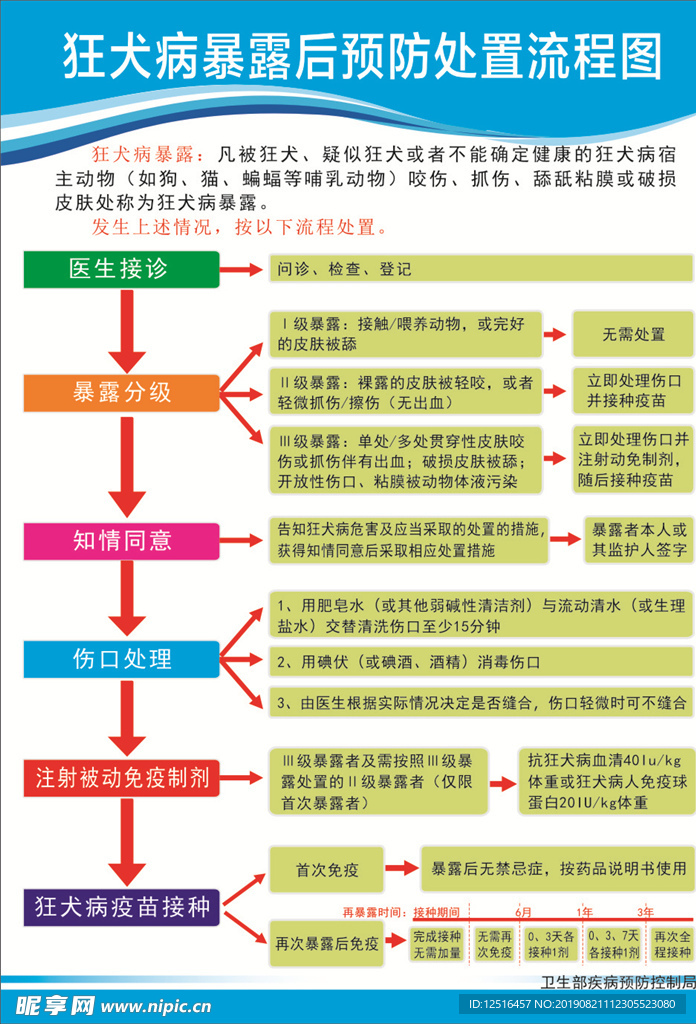 狂犬病暴露后预防处置流程图