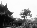 风景
