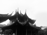风景