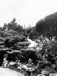 风景