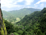 风景